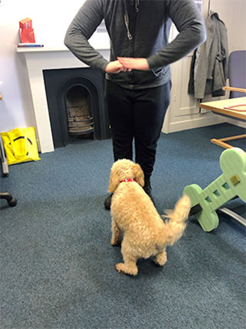 Ami signs Sit to Bobbi