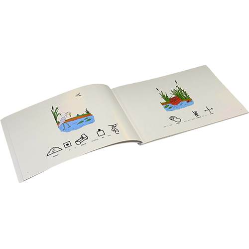 A Baby in a Basket
