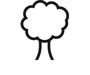 Makaton symbol for Tree