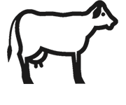 Makaton symbol for Cow